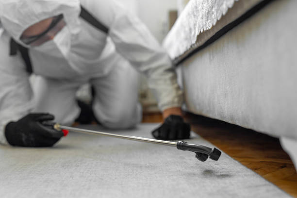 Professional Bed Bug Control technician working in Glennville, GA