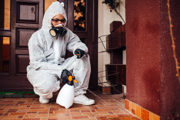 Reliable Bed Bug Control contractor in Glennville, GA by Nex Pest Control