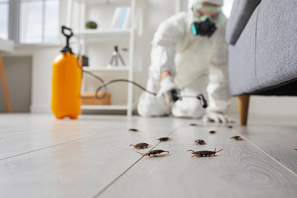 Trusted Rodent Control service in Glennville, GA - Nex Pest Control